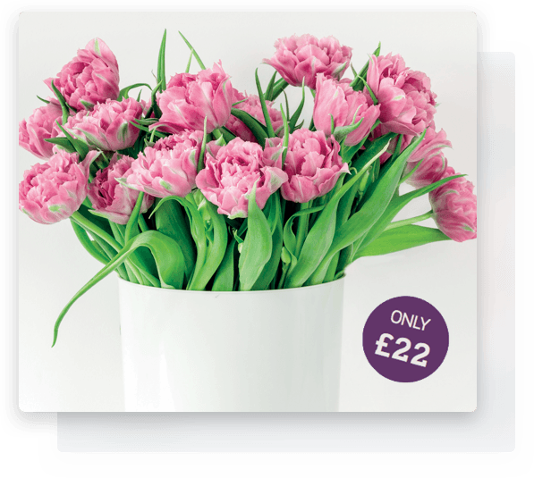 Flower bouquet on offer from Belle & Blossom who offer flower delivery Beaulieu.